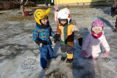 IMG_20260120_110542