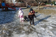 IMG_20260120_110623