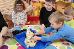 IMG-20250214-WA0012