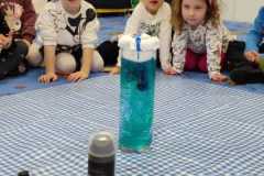 IMG-20250214-WA0123