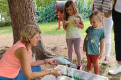 IMG-20250909-WA0106