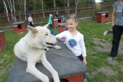 DSCN3518