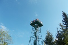 DSCN3542