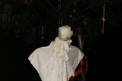 IMG_20231031_174155