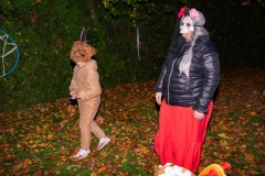 DSC02232