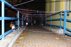 IMG_8458