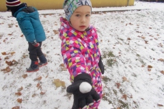 DSCN2094