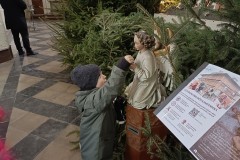 IMG_20260105_104534