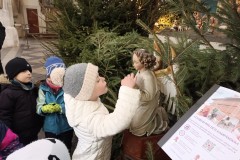 IMG_20260105_104648