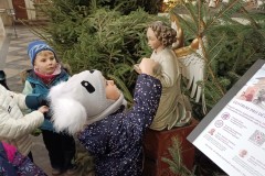 IMG_20260105_104656