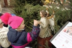 IMG_20260105_104706