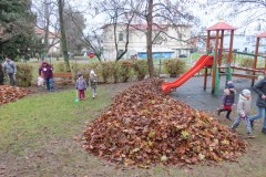 IMG_0029