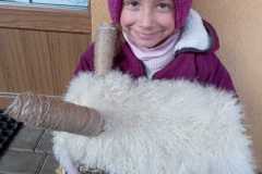 IMG-20231215-WA0006