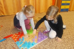 DSCN2240