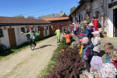 Photo-09.05.2023-10-06-23